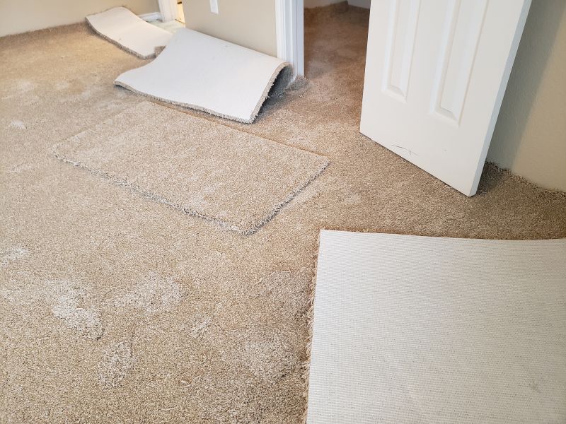 Residential Carpet Repair